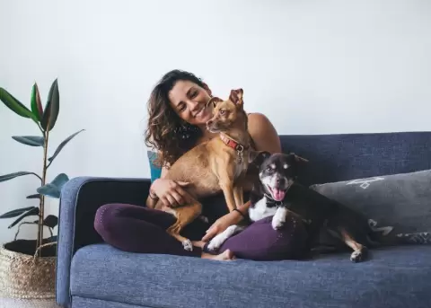 Tener una mascota es una gran experiencia siempre y cuando precautelemos nuestra salud.