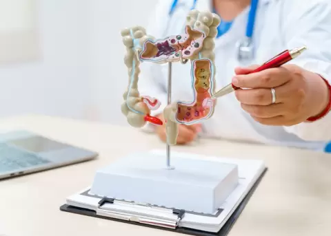 Las enfermedades gastrointestinales siguen siendo un problema de salud p�blica.