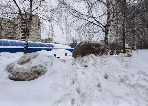 Alerta amarilla en Mosc� por una intensa nevada