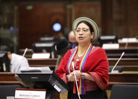 Mariana Yumbay, asamble�sta por Pachakutik.