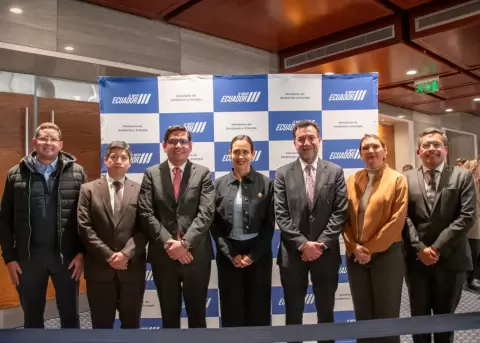 Gobierno inicia licitaci�n para construir planta el�ctrica de 400 MW a gas natural