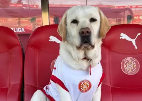 Canya es la encargada de dar soporte emocional al Girona FC.