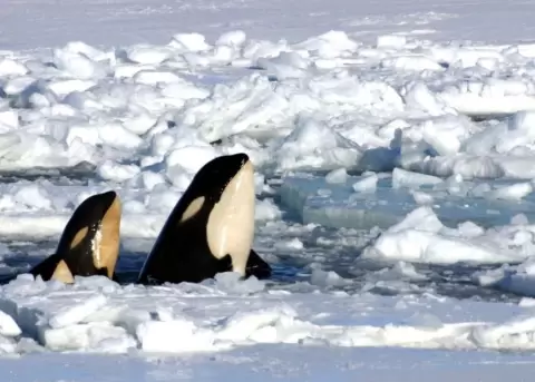 La naturaleza nos regala momentos �nicos incluso hasta en los rincones m�s inh�spitos.