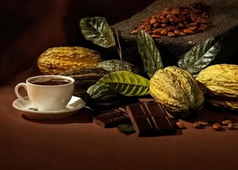 TasteAtlas destaca a Ecuador y su chocolate.