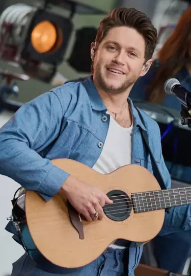 Niall Horan est� pr�ximo al estreno de su nuevo �lbum.