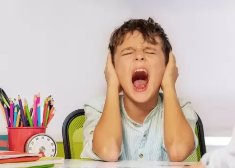 Claves para entender y manejar crisis emocionales en ni�os.