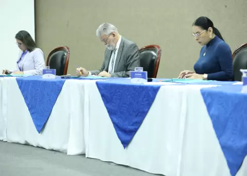 Pleno del Consejo Nacional Electoral.