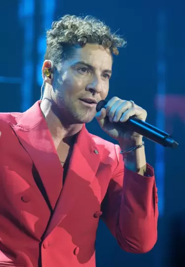 David Bisbal homenajea a Camilo Sesto con emotiva interpretaci�n viral.