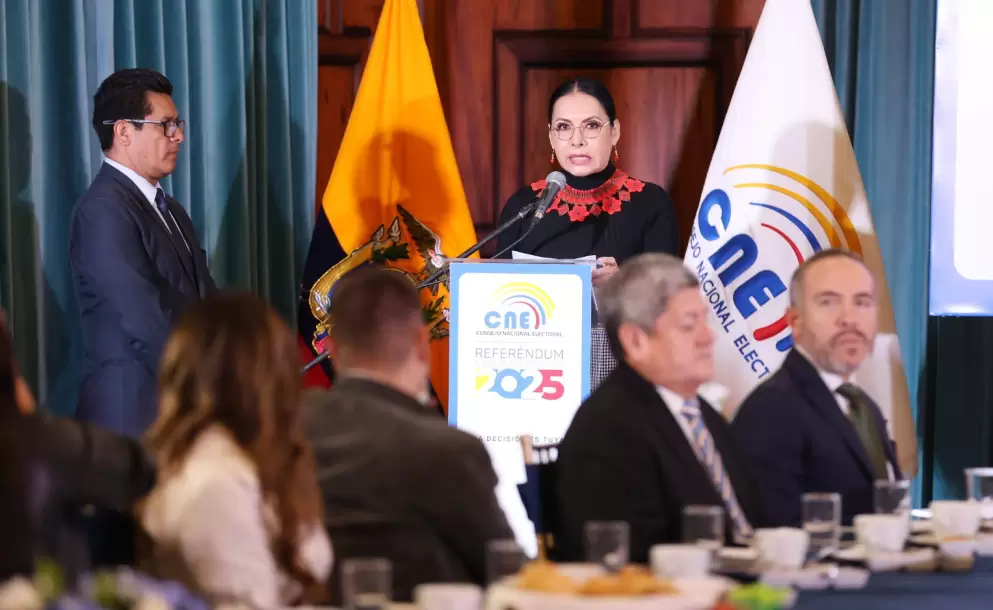 La estrategia del CNE ser�a 