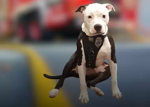 La vida de Jake cambi� gracias al gesto del bombero Bill.