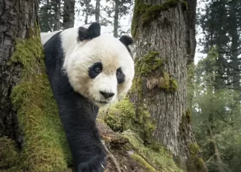 World Press Photo premi� a las mejores fotograf�as que retratan c�mo est� el mundo.