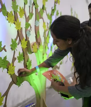 Bienestar Humano el principal objetivo de la Kumbre de Sostenibilidad 2026.