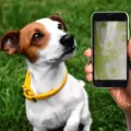Tecnolog�a y mascotas: el negocio digital que transforma el cuidado animal