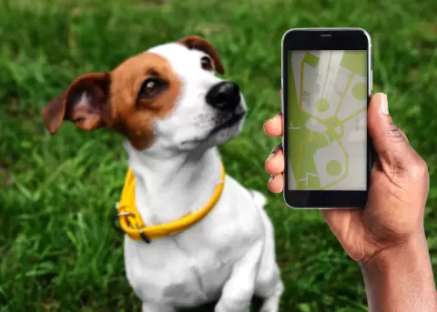 Tecnolog�a y Mascotas.