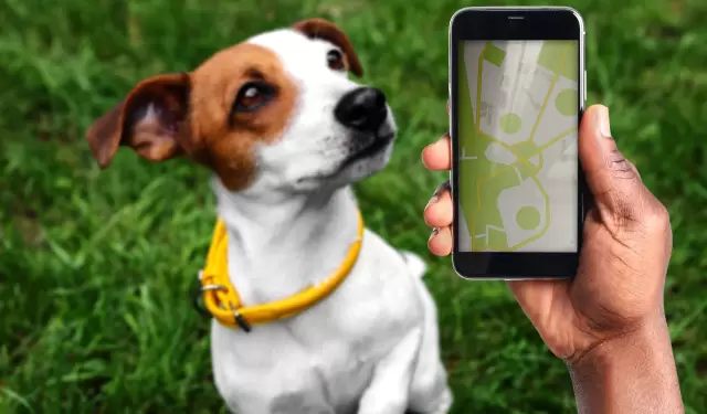 Tecnolog�a y Mascotas.