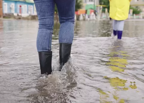 Cambios clim�ticos, ola de calor y Fen�meno de El Ni�o.