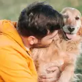 El secreto para un perro feliz en solo cinco minutos