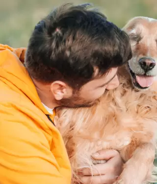 Juego diario fortalece v�nculo emocional y bienestar entre perros y due�os.