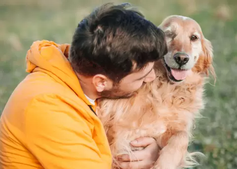 Juego diario fortalece v�nculo emocional y bienestar entre perros y due�os.