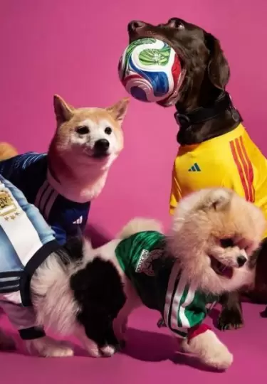 Las mascotas tambi�n se suman a la fiebre mundialista.