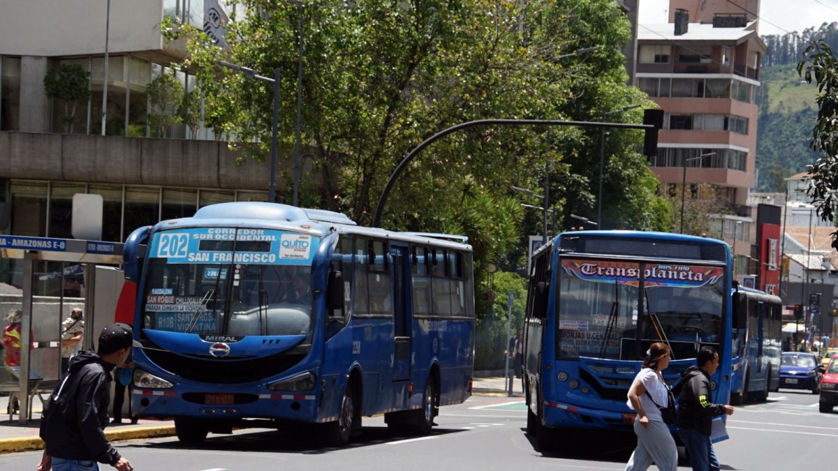 Ausencia de buses urbanos complica la movilidad en Quito; alcalde ...