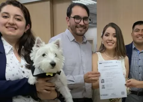 Las mascotas ahora forman parte simb�lica de matrimonios civiles en Ecuador oficialmente.