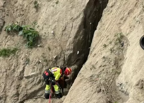 Perro fue rescatado tras quedar atrapado en una quebrada al norte de Quito