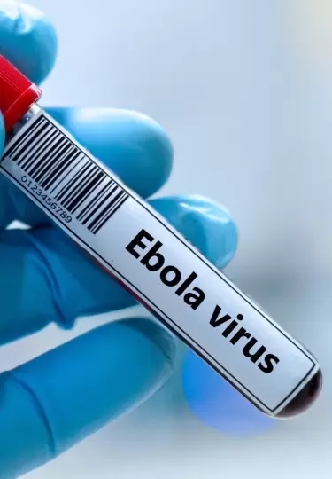 OMS activa alerta internacional por peligroso brote de �bola en �frica.