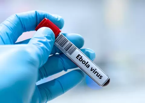 OMS activa alerta internacional por peligroso brote de �bola en �frica.