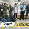 Detienen a tailandeses con 12 iguanas de Galápagos en aeropuerto de Guayaquil