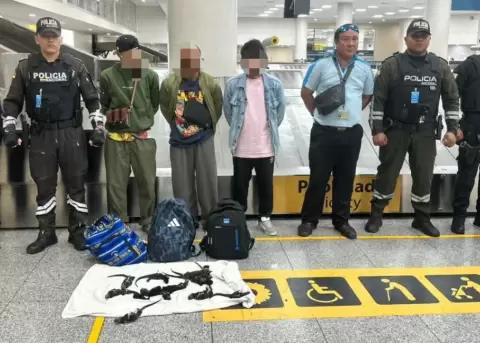 Los aprehendidos de nacionalidad tailandesa pretend�an abordar un vuelo internacional en el aeropuerto de Guayaquil.