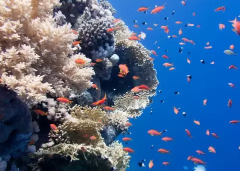 Asamblea aprueba con 79 votos normativa sobre gesti�n del espacio marino-costero