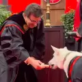 Perro de servicio recibe su diploma en la ceremonia de graduaci�n