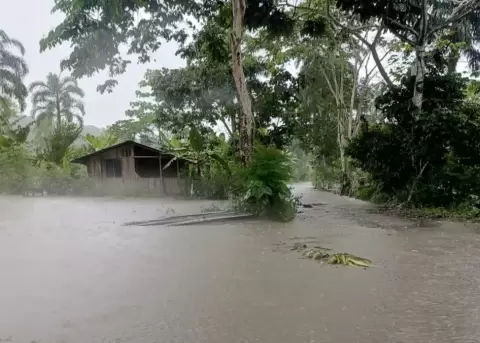 Afectaciones por las intensas lluvias en Napo.