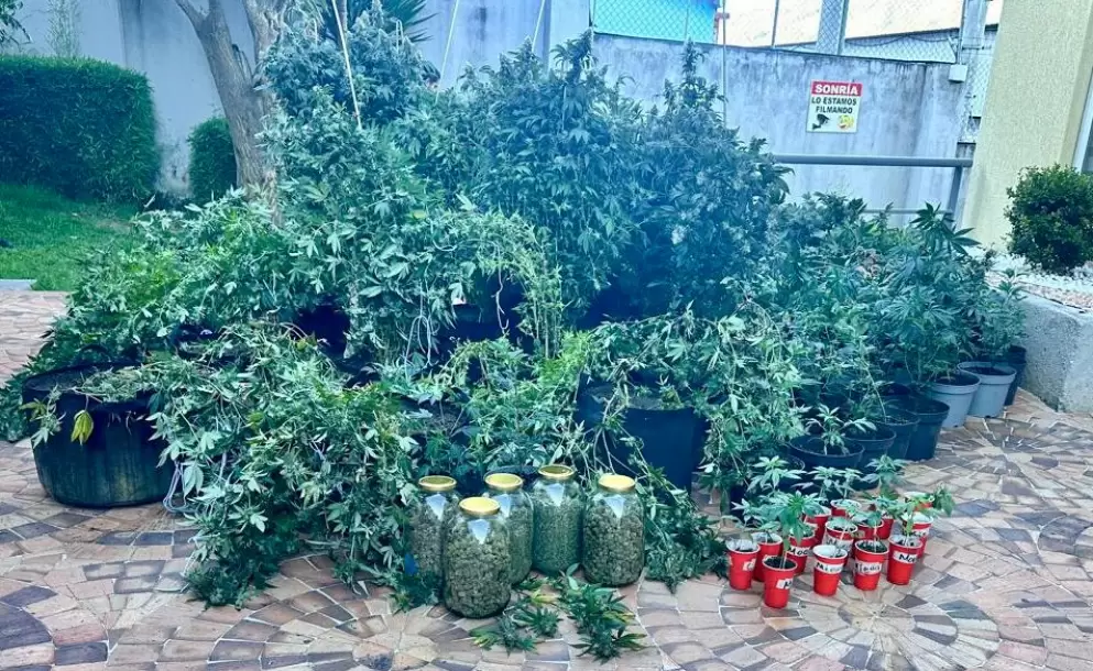 Dos detenidos por tr�fico de drogas en el norte de Quito.