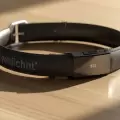 Empresa China crea collar con inteligencia artificial capaz de "traducir" sonidos de mascotas