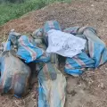 Confirman identidad de ocho j�venes desaparecidos tras viaje de Daule a Milagro