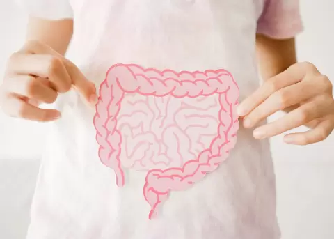 Microbiota intestinal y el examen personalizado de Ecua American.