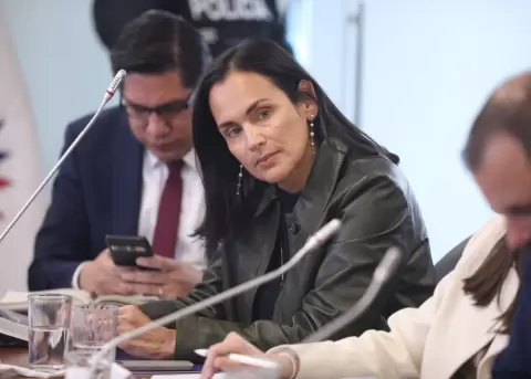 Comparecencia de In�s Manzano en la Comisi�n de Desarrollo Econ�mico el 4 de febrero del 2026.