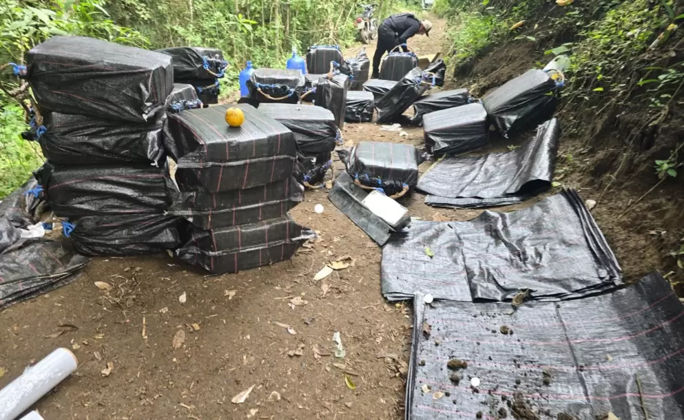 Incautan dos toneladas de coca�na en Jama