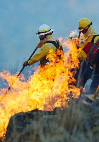 Plan Fuego: acciones de prevenci�n ante incendios forestales.