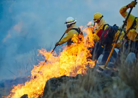 Plan Fuego: acciones de prevenci�n ante incendios forestales.