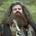 Dobby y Hagrid vuelven: Harry Potter estrena nuevas historias
