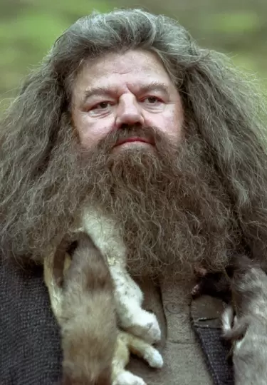 Hagrid y Dobby regresan en nuevos libros del mundo m�gico.