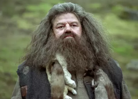 Hagrid y Dobby regresan en nuevos libros del mundo m�gico.