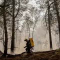 Incendios forestales alcanzan niveles históricos en Europa por el calor extremo y la sequía