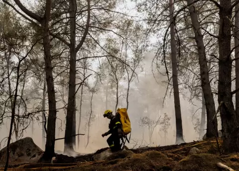 El fuego en el bosque de Fontainebleau, cerca de Par�s, arrasa m�s de 1.900 hect�reas