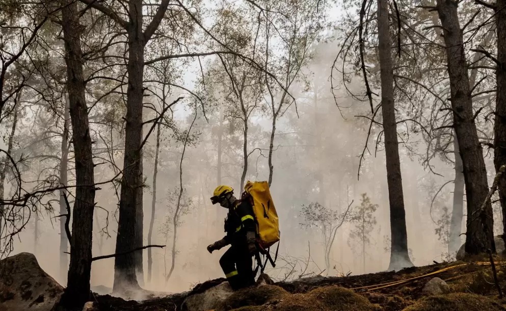 Incendios forestales alcanzan niveles hist�ricos en Europa por el calor extremo y la sequ�a