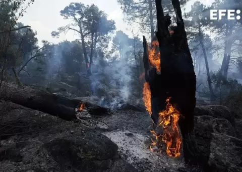 Zonas quemadas en los alrededores de el embalse de El Burguillo por el incendio que se origin� en Burgohondo, en la provincia espa�ola de �vila.