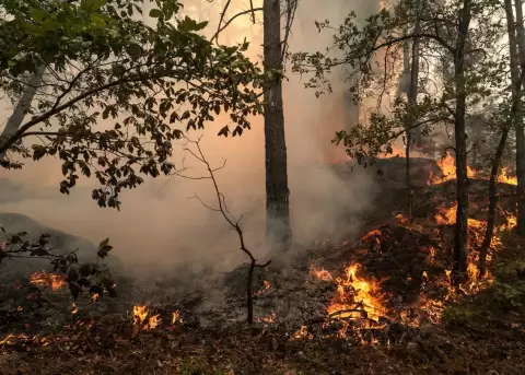En la imagen de archivo, vista del incendio del bosque de Fontainebleau, en Noisy-sur-Ecole, en las cercan�as de Par�s.